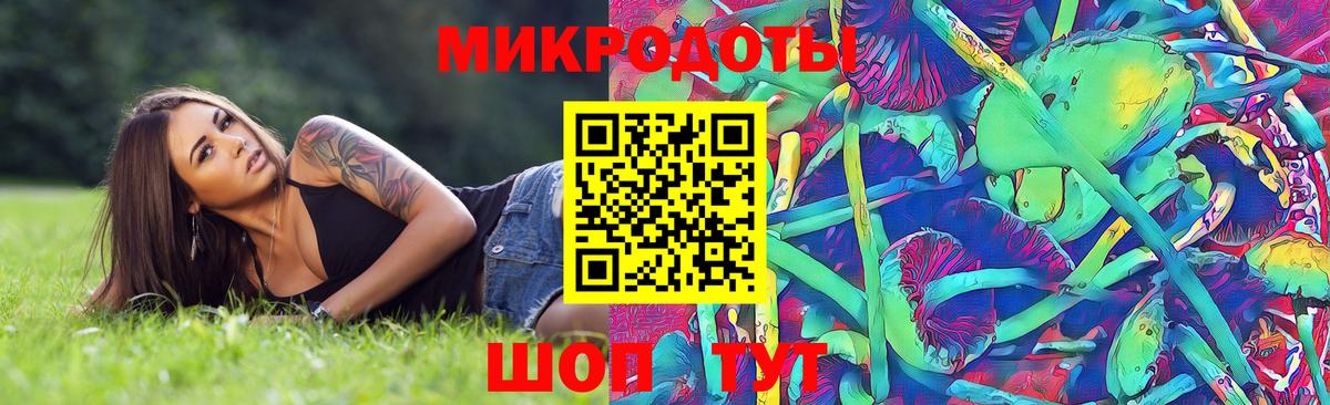Псилоцибиновые грибы Psilocybine cubensis Шелехов