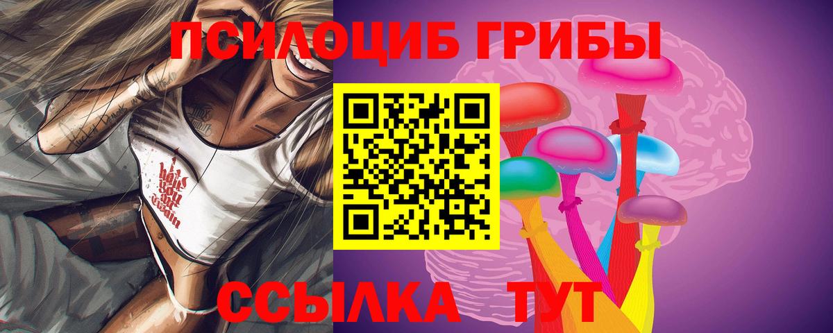 Галлюциногенные грибы GOLDEN TEACHER  Галлюциногенные грибы Magic Shrooms  Вход с VPN  наркотики  Шелехов 